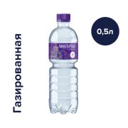 Монастырская газ 0,5л прир/стол 1/12